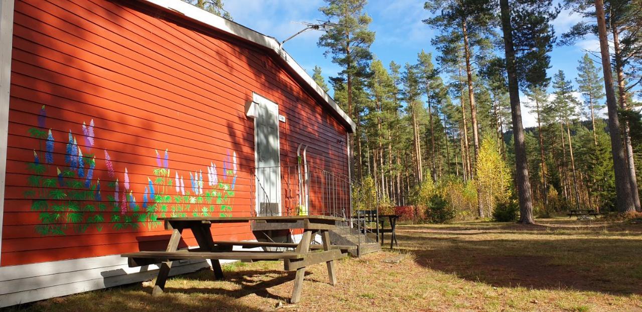 Hostel And Vandrarhem Lupin Naturcamping Lagom Grasmark Exterior photo